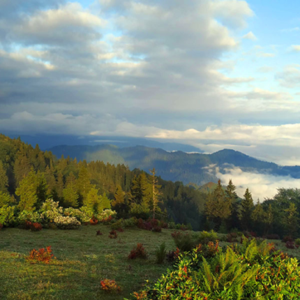 Giresun Ordu Turu